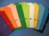 Camisa polo lacoste diversas cores